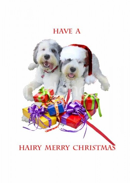 171-hairy-merryxmas-2